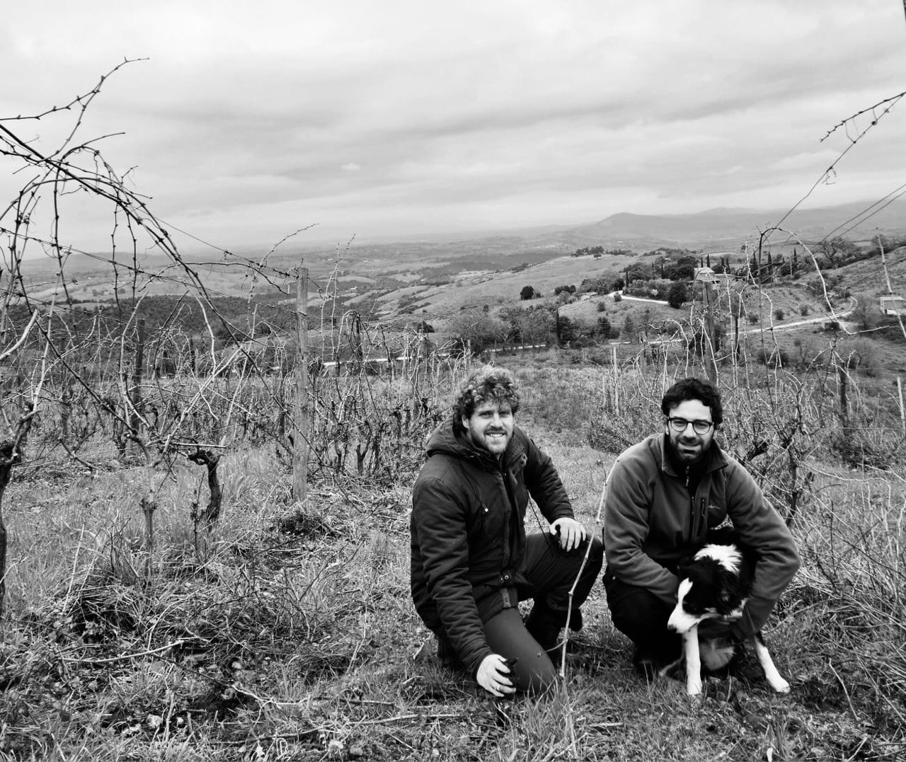 Alberto al lavoro nei vigneti di Tenuta le Rogge