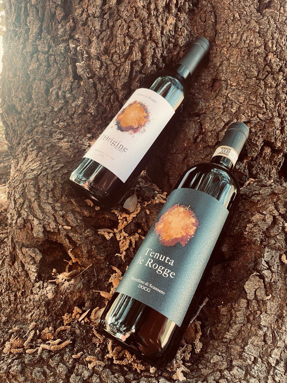 Bottiglie di vino Tenuta le Rogge